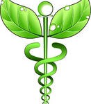 Leaf Caduceus
