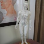 acu figure and head
