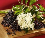 elderberries1